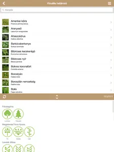 Fa Book interaktív fahatározó screenshot 14