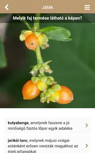 Fa Book interaktív fahatározó screenshot 6