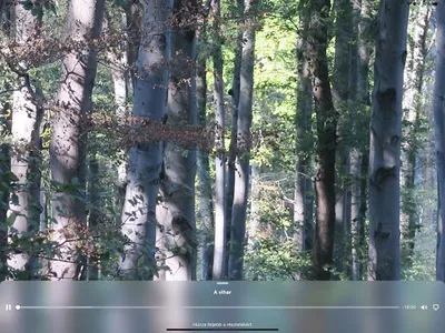 Hipnoword screenshot 6
