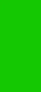 Green Screen with marker screenshot 0