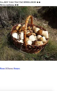 Грибы съедобные screenshot 1
