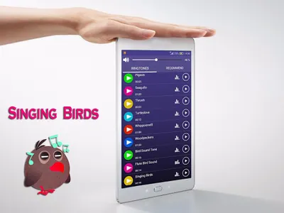 Birds Sounds Ringtones screenshot 8