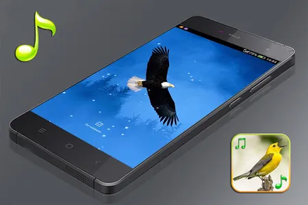 Birds Sounds Ringtones screenshot 9