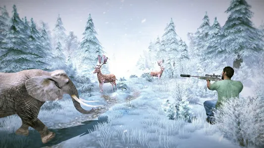 Deer Hunting Shooting Games screenshot 4