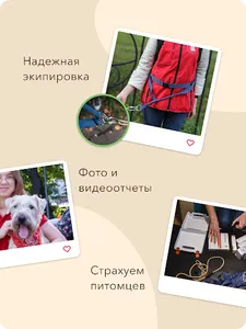 Гульдог — выгул и передержка screenshot 10