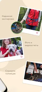 Гульдог — выгул и передержка screenshot 2