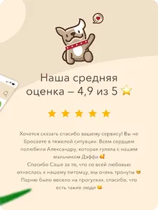 Гульдог — выгул и передержка screenshot 22