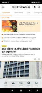 Gulf News screenshot 0