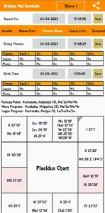 Brahma Ved (K P Astrology) screenshot 3