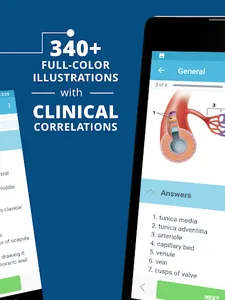 USMLE Clinical Anatomy screenshot 11