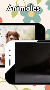 Imágenes de Mascotas screenshot 2