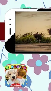 Imágenes de Mascotas screenshot 4