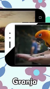 Imágenes de Mascotas screenshot 5