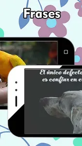 Imágenes de Mascotas screenshot 6