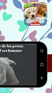 Imágenes de Mascotas screenshot 7