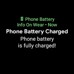 Phone Battery Info On Wear screenshot 8