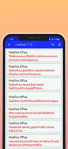Hadiisa Filatamaa 80 screenshot 3
