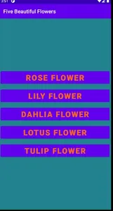 Five Beautiful Flower screenshot 0
