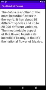 Five Beautiful Flower screenshot 1