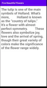 Five Beautiful Flower screenshot 2