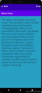 Winter Fruits screenshot 1