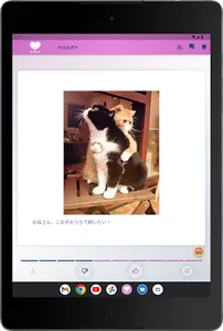 ワラコイ screenshot 13