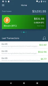 Haladinar HDN wallet screenshot 4