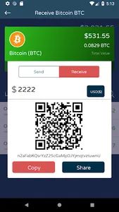 Haladinar HDN wallet screenshot 7