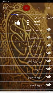 قران اسلام صبحي screenshot 4