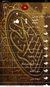 قران اسلام صبحي screenshot 8