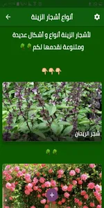 أنواع أشجار الزينة screenshot 0