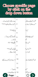 Taaj-e-Man Urdu Romantic Novel screenshot 4