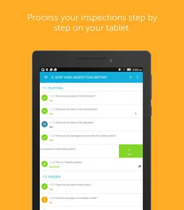 Inspection Report screenshot 4