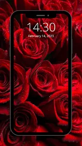Happy Valentines Day screenshot 5