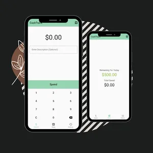 CashTrack screenshot 2
