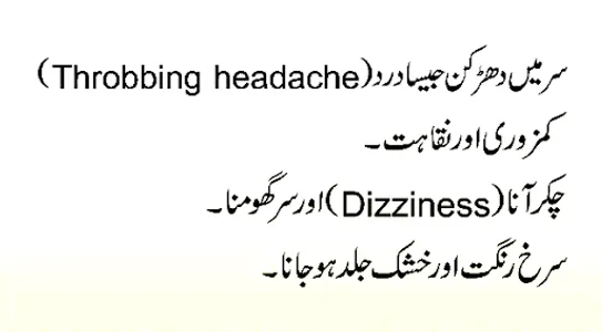 Heat Stroke screenshot 3