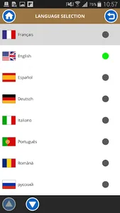 Haulotte Diag screenshot 3
