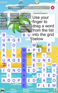 Word Fit Puzzle screenshot 17