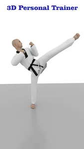 Taekwondo Workout At Home screenshot 1