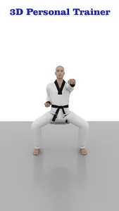 Taekwondo Workout At Home screenshot 2