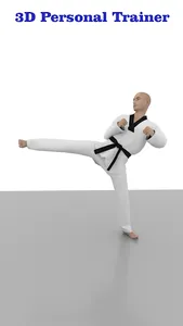 Taekwondo Workout At Home screenshot 8