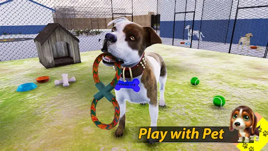 Animal Shelter - Pet Shelter screenshot 13