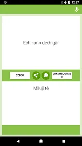 Tschechesch-Lëtzebuergesch Iww screenshot 1