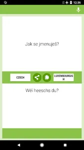Tschechesch-Lëtzebuergesch Iww screenshot 3