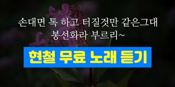 현철 노래 - 현철 트로트 메들리 screenshot 0