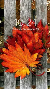 Autumn Wallpaper screenshot 5