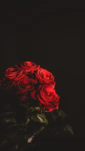 Rose Wallpaper HD screenshot 15