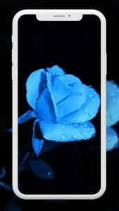 Flower Wallpaper HD – 4k screenshot 7