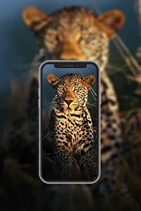 Animal Wallpapers in4K,HD screenshot 0