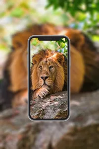 Animal Wallpapers in4K,HD screenshot 1